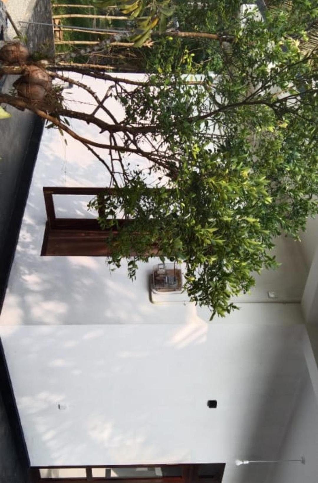 Villa Elegant - เวลิกามา ภายนอก รูปภาพ